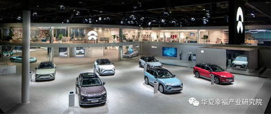 產(chǎn)業(yè)觀察丨從產(chǎn)品陣容看中國(guó)電動(dòng)汽車(chē)企業(yè)后補(bǔ)貼時(shí)代的應(yīng)對(duì)策略